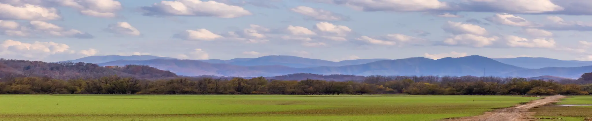 Image of the serene environment of Newport, TN, with a gorgeous mountain range in the background