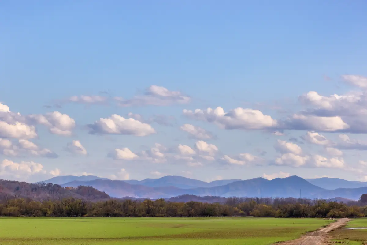 Image of the serene environment of Newport, TN, with a gorgeous mountain range in the background